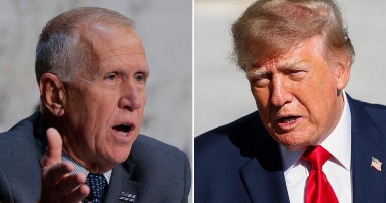 gop-sen.-thom-tillis-sucks-up-to-‘the-view’-by-threatening-to-dox-trump’s-personal-phone-number