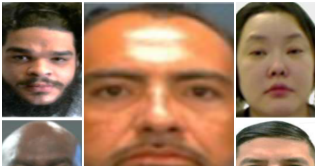 exclusive:-ice-arrests-illegal-alien-sex-offenders,-burglars,-drug-traffickers