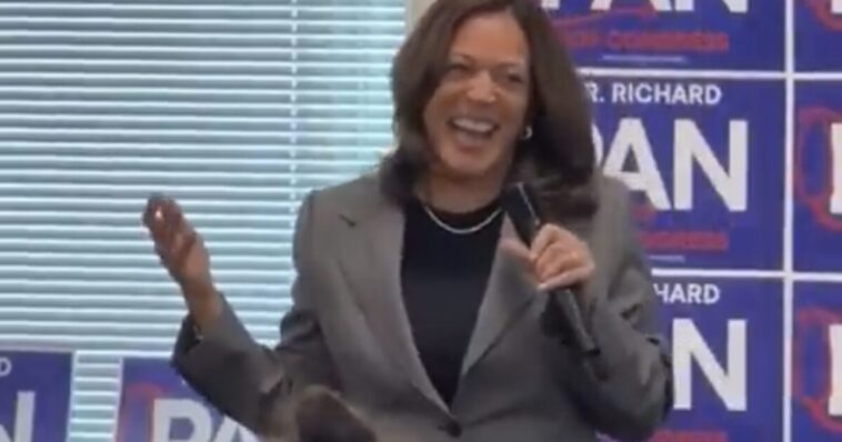 crowd-is-silent-as-kamala-harris-maniacally-laughs-during-campaign-event-with-democrat-congressional-candidate-richard-pan-(video)