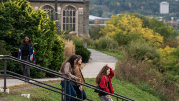 nolte:-leftist-cornell-faculty-prepares-‘no-confidence’-vote-against-leftist-cornell-university