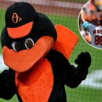 orioles-mascot-among-organization’s-mass-layoff-‘bloodbath’