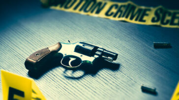 mexico:-mother-fatally-shoots-her-partner-and-3-sons,-then-kills-herself