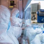 cdc-‘closely-monitoring’-suspected-russian-plague-as-who-seeks-info-on-2nd-reported-death