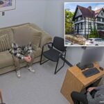 cornell-student-informs-cops-that-frat-bros-told-her-to-keep-‘orgy’-secret:-‘bad-for-our-image’