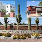 university-of-arizona-halts-fraternity-activities-following-‘egregious’-misconduct-allegations