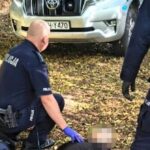 knifeman-arrested-after-rampage-attack-at-polish-high-school