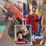 boy,-6,-heroically-protected-younger-sister-during-psycho-mom’s-stabbing-rampage:-grandmother