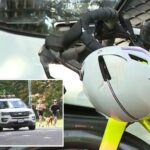 cyclist,-71,-killed-in-central-park-dog-mishap-was-well-liked-uws-biking-enthusiast
