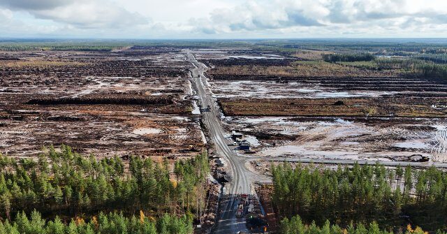 google-ordered-to-stop-bulldozing-forests-for-data-centers-until-environmental-study-complete
