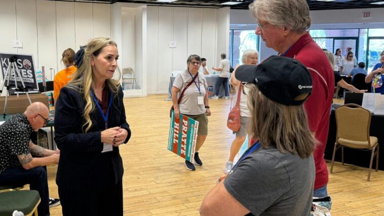 democrat-congressional-candidate-says-she-was-raped-while-repairing-campaign-sign