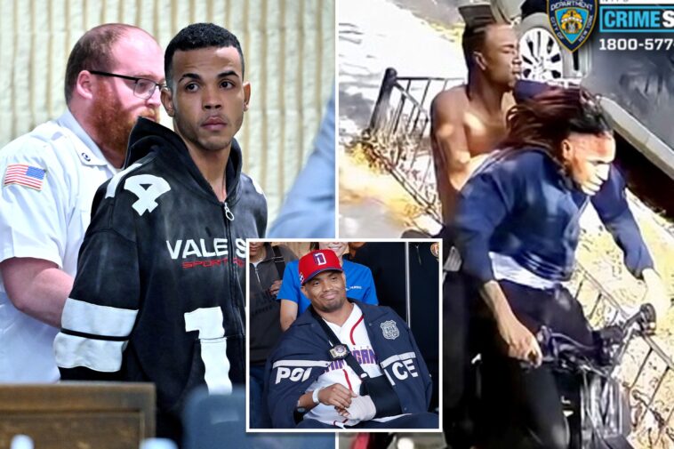 illegal-migrant-who-allegedly-stabbed-detective-during-brutal-nyc-robbery-wore-bizarre-halloween-mask:-sources
