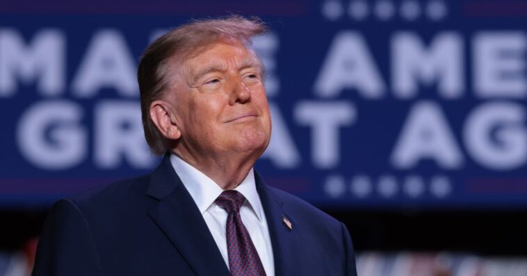 dnc-sues-trump-administration-alleging-illegal-propaganda-campaign