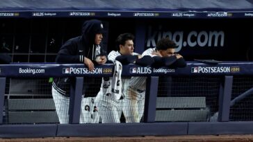 heroes,-zeros-from-yankees’-season-ending-game-3-loss-to-rays:-the-drought-continues