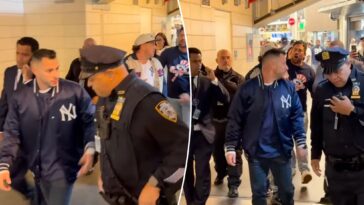 yankees-fan-booted-out-of-stadium-after-home-run-interference-controversy