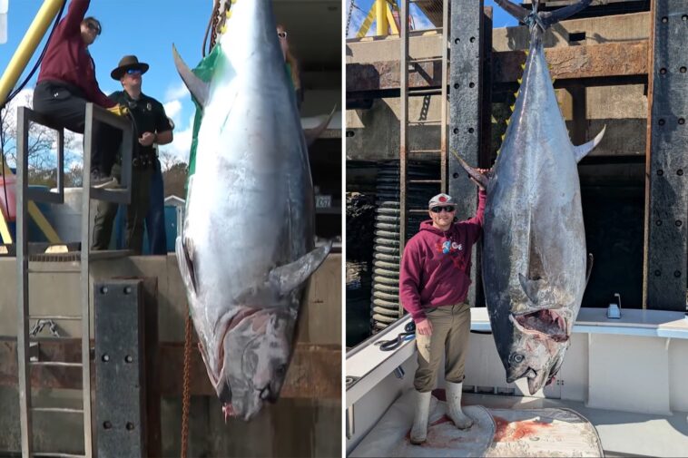 new-hampshire-fisherman-reels-in-record-breaking-1,116-pound-bluefin-tuna,-smashing-state-mark