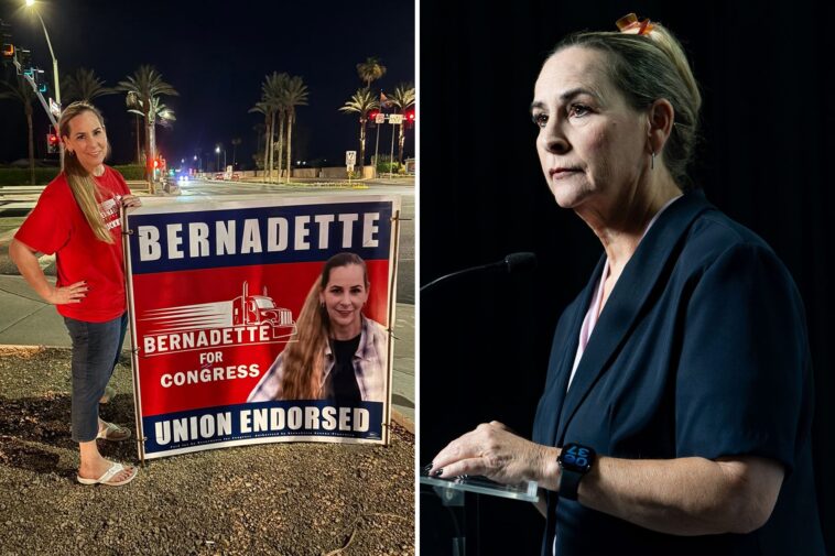 arizona-congressional-candidate-alleges-she-was-raped-while-fixing-campaign-sign:-‘i-just-wanted-to-forget-it’