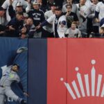 watch:-yankees-eliminated-from-playoffs-after-dramatic-fan-interference-incident