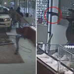 jewelry-store-owner-shoots-at-would-be-thieves-after-truck-smashes-into-business