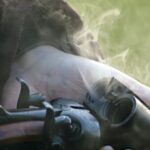 woman-uses-shotgun-to-stop-two-men-allegedly-attacking-her-family
