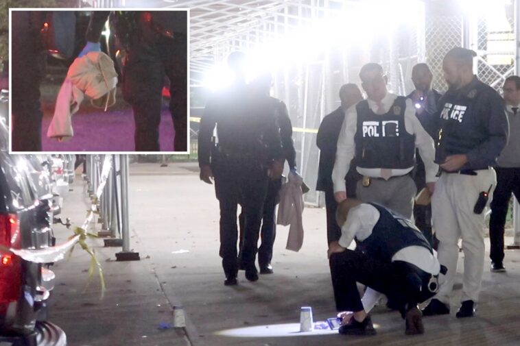 boy,-15,-shot-dead-by-stray-bullet-outside-nyc-housing-complex:-cops,-sources