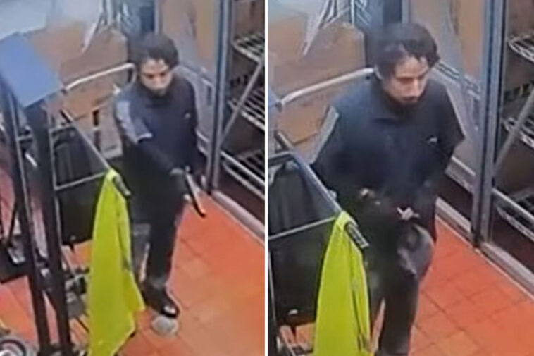 moment-california-mcdonald’s-worker-is-gunned-down-inside-store-after-shooting-female-colleague