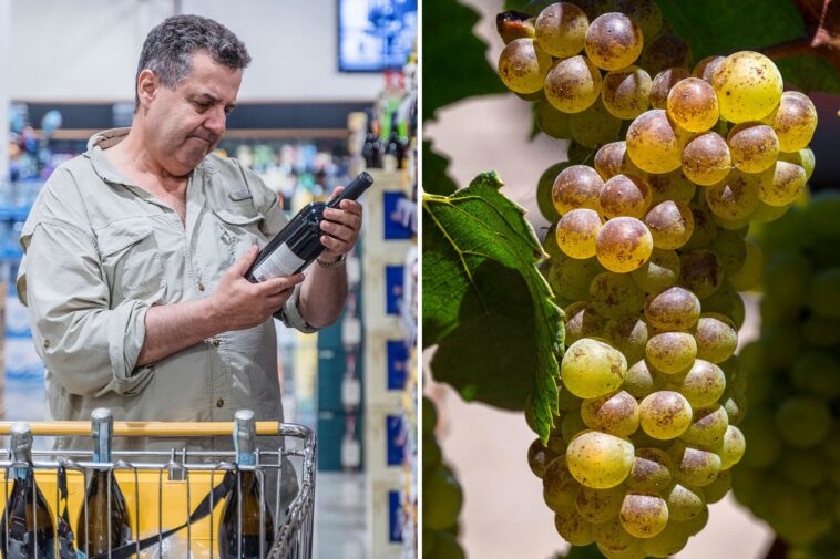 california’s-wine-crisis-hits-new-low-as-luxe-bottles-sent-to-costco,-aldi-and-kroger-for-knock-down-prices