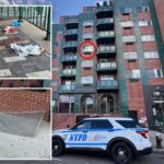 boy,-2,-plunges-from-nyc-building-days-after-alleged-shove-killed-bronx-mom,-injured-baby
