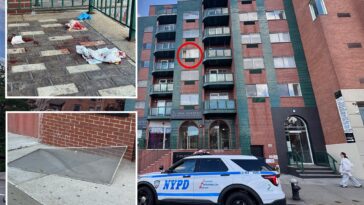 boy,-2,-plunges-from-nyc-building-days-after-alleged-shove-killed-bronx-mom,-injured-baby