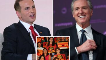 billionaire-epically-slaps-down-dems-with-$8m-for-voter-id-—-as-gavin-newsom-fires-up-opposition