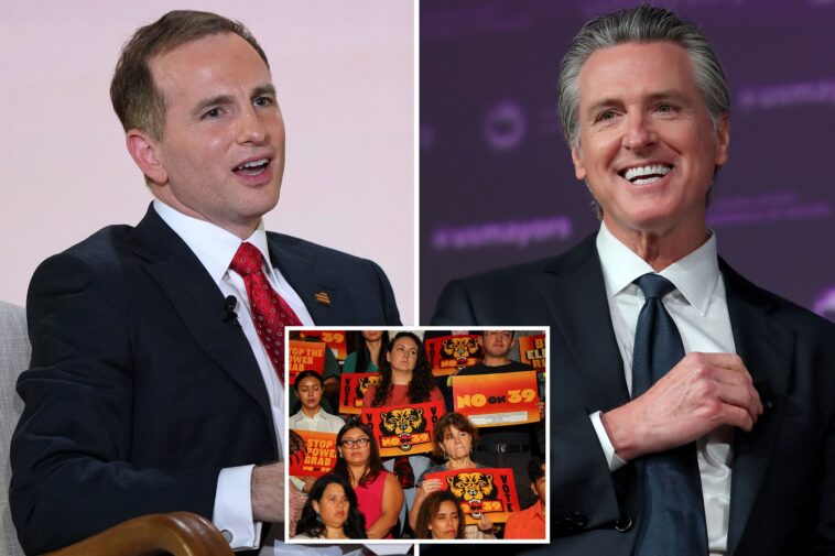 billionaire-epically-slaps-down-dems-with-$8m-for-voter-id-—-as-gavin-newsom-fires-up-opposition