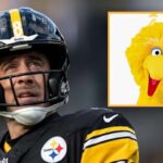 aaron-rodgers-gives-up-ayahuasca-after-getting-sacked-by-big-bird