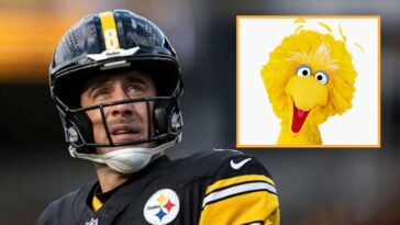 aaron-rodgers-gives-up-ayahuasca-after-getting-sacked-by-big-bird