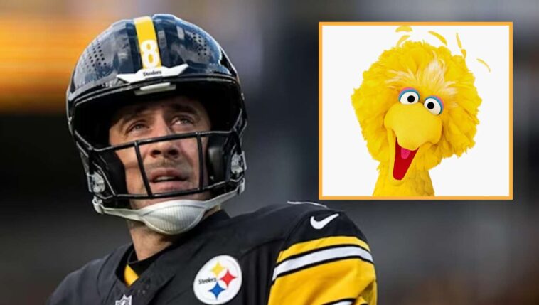 aaron-rodgers-gives-up-ayahuasca-after-getting-sacked-by-big-bird