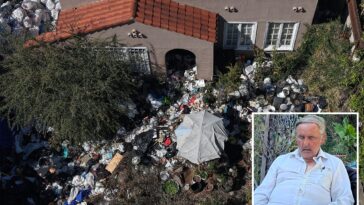 fuming-neighbors-slam-city-as-trash-house-owner-slumbers-in-bug-ridden-filth