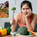 fruits-and-vegetables-50%-less-nutritious-than-in-the-1960s:-‘hollowing-out-our-food’