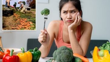 fruits-and-vegetables-50%-less-nutritious-than-in-the-1960s:-‘hollowing-out-our-food’