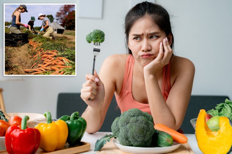 fruits-and-vegetables-50%-less-nutritious-than-in-the-1960s:-‘hollowing-out-our-food’