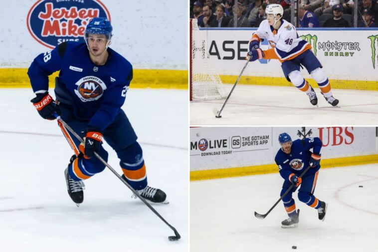 islanders-begin-defensive-overhaul-with-alexander-romanov-lost-for-season