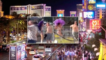 las-vegas-showgirl-allegedly-beats-tourist-with-high-heel-after-$20-photo-tip-sparks-brawl