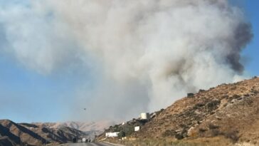 fast-moving-wildfire-shuts-down-major-california-freeway-as-flames-rage