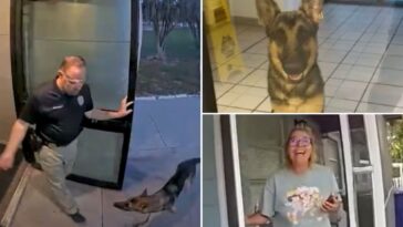 lost-florida-dog-shows-up-at-police-station-—-as-officer-helps-reunite-‘k-9-applicant’-with-tearful-owner