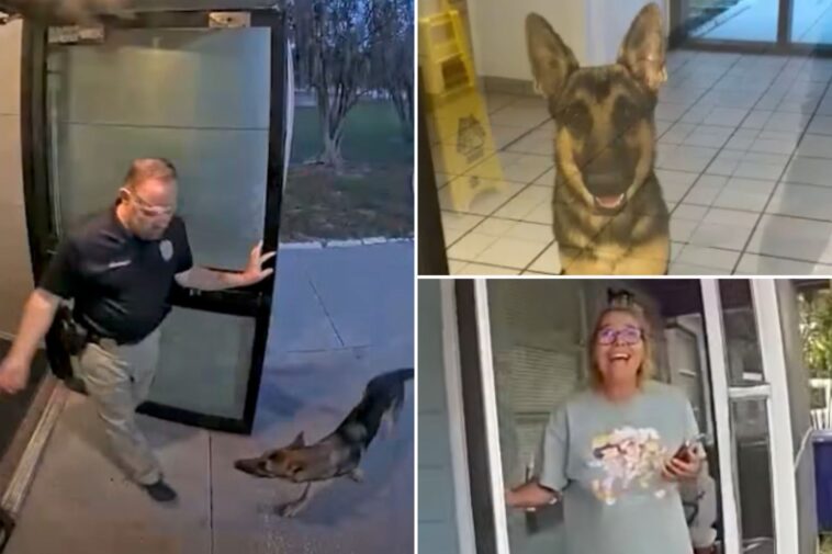 lost-florida-dog-shows-up-at-police-station-—-as-officer-helps-reunite-‘k-9-applicant’-with-tearful-owner