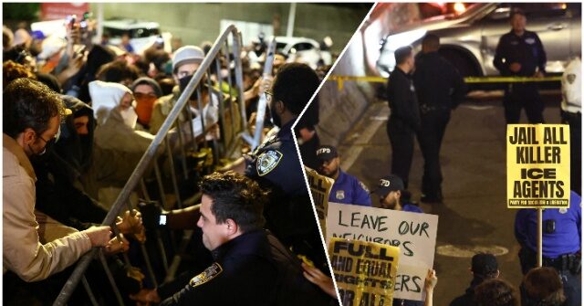dhs:-criminal-alien-gang-member-shot-by-ice-officer,-organized-protests-erupt