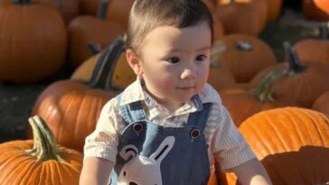 boy,-2,-struck-and-killed-by-reversing-suv-while-pumpkin-picking-in-nj:-‘absolute-devastation’