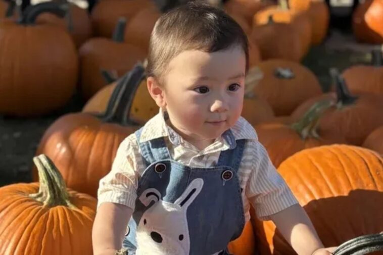 boy,-2,-struck-and-killed-by-reversing-suv-while-pumpkin-picking-in-nj:-‘absolute-devastation’