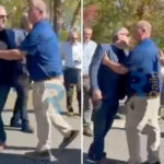 ny-highway-boss-screams-at-top-official-in-heated-press-conference-spat:-‘stop-bullying-people,-george!’