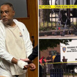 toddler-‘fighting-for-her-life’-afer-attack-by-maniac-who-went-free-after-stabbing-two-other-kids:-cops