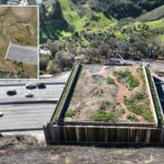 $114m-socal-wildlife-crossing-to-track-whether-animals-are-‘happy’-with-taxpayer-funded-bridge