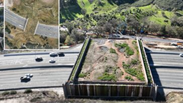 $114m-socal-wildlife-crossing-to-track-whether-animals-are-‘happy’-with-taxpayer-funded-bridge