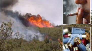man-who-started-1000-acre-bouquet-fire-slapped-with-federal-arson-charges-as-investigation-unfolds